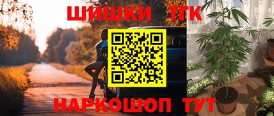 spice Кандалакша