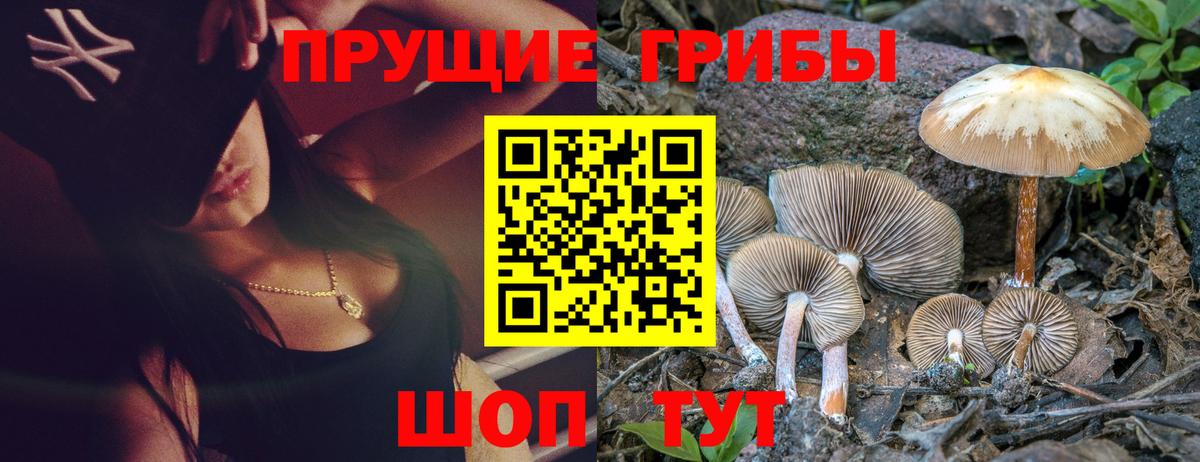 Псилоцибиновые грибы Psilocybine cubensis Ливны